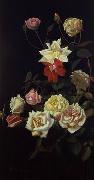 unknow artist Still life floral, all kinds of reality flowers oil painting 32 oil on canvas